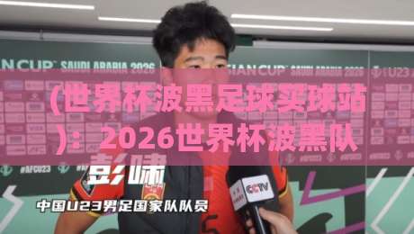 (世界杯波黑足球买球站)：2026世界杯波黑队前景分析与购彩指南
