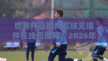 世界杯直播网买球无插件在线直播网，2026年球迷必收藏的观赛神器